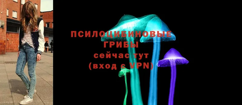 Галлюциногенные грибы MAGIC MUSHROOMS  даркнет сайт  KRAKEN зеркало  Демидов 